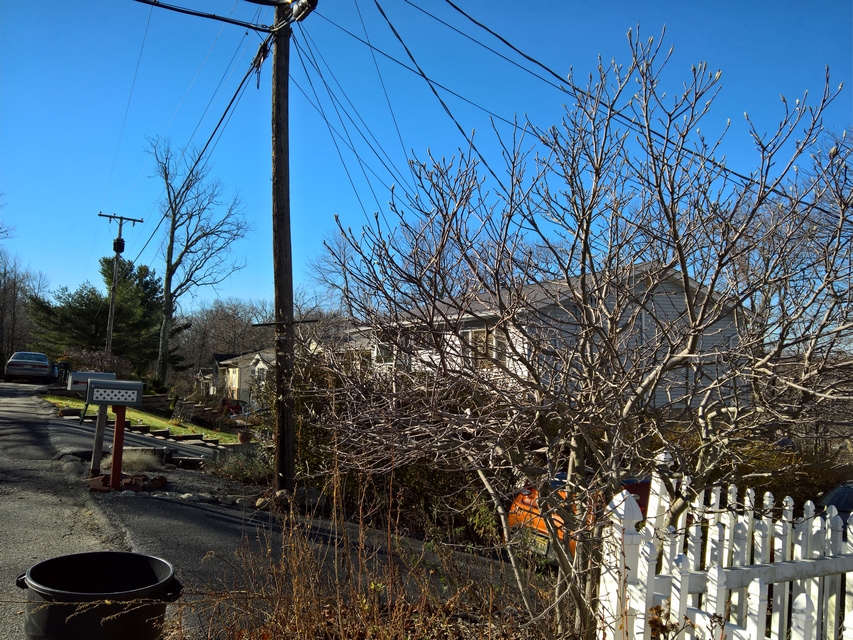 Lumia 950 camera sample