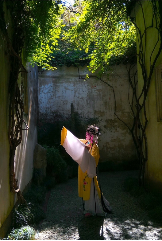 camera Xiaomi Redmi Pro