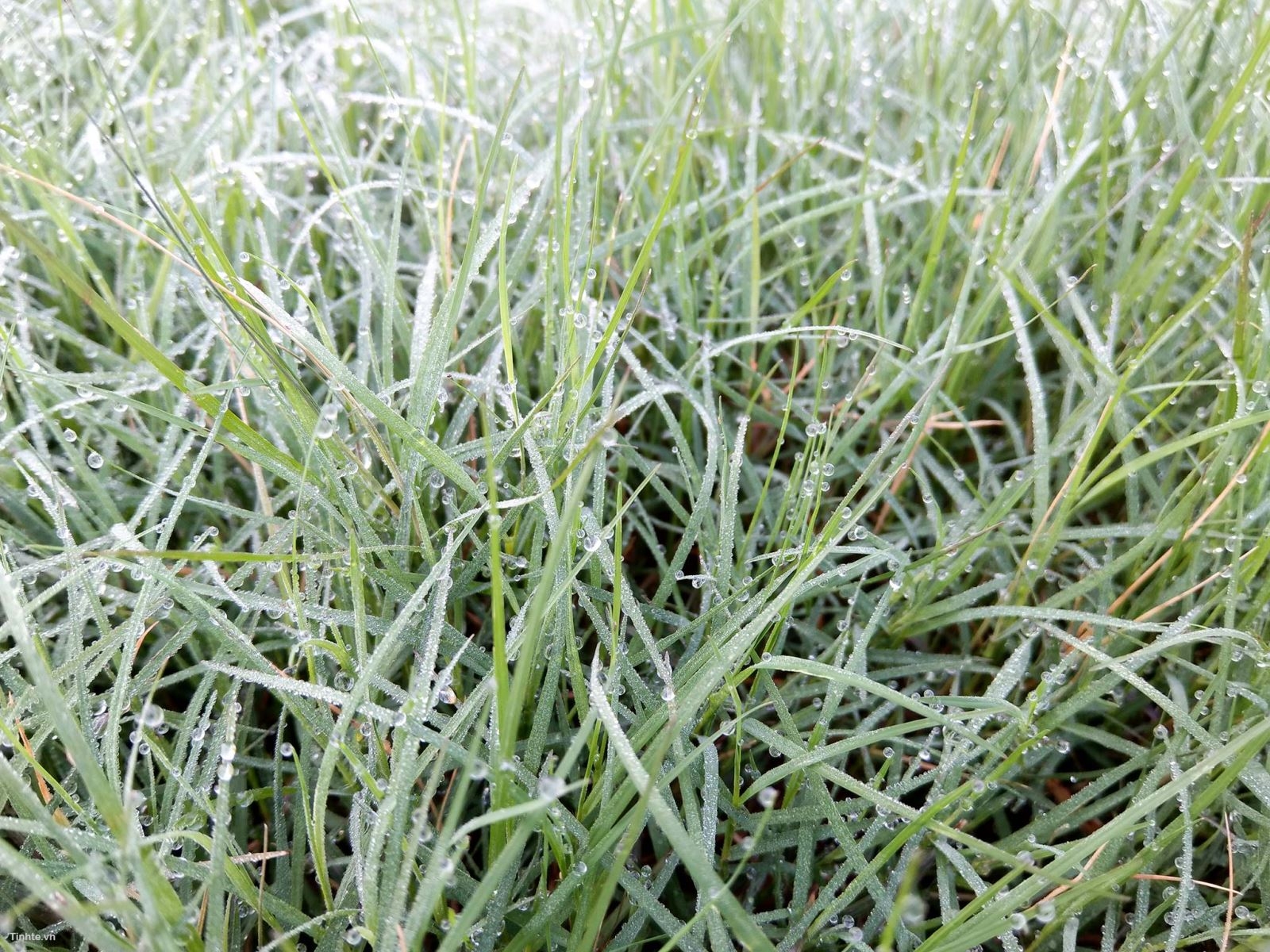 camera HTC U11