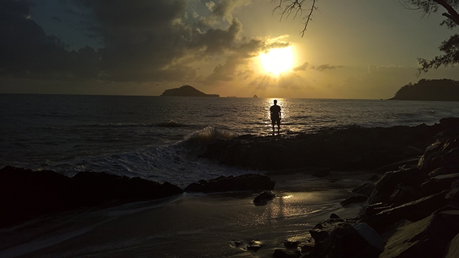 anh chup Lumia 950