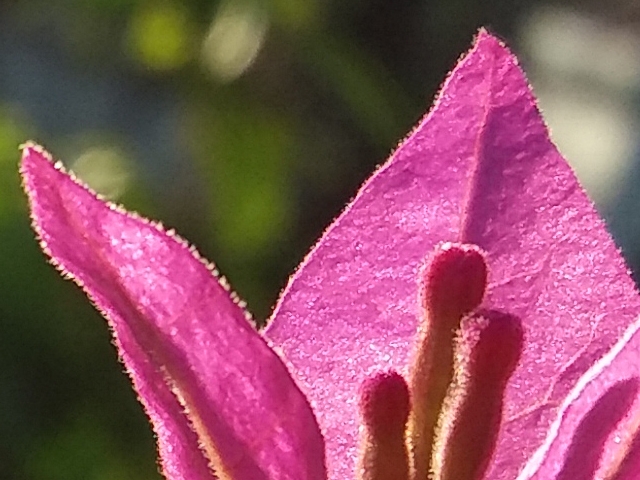 samsung galaxy j5 j7 2016 camera