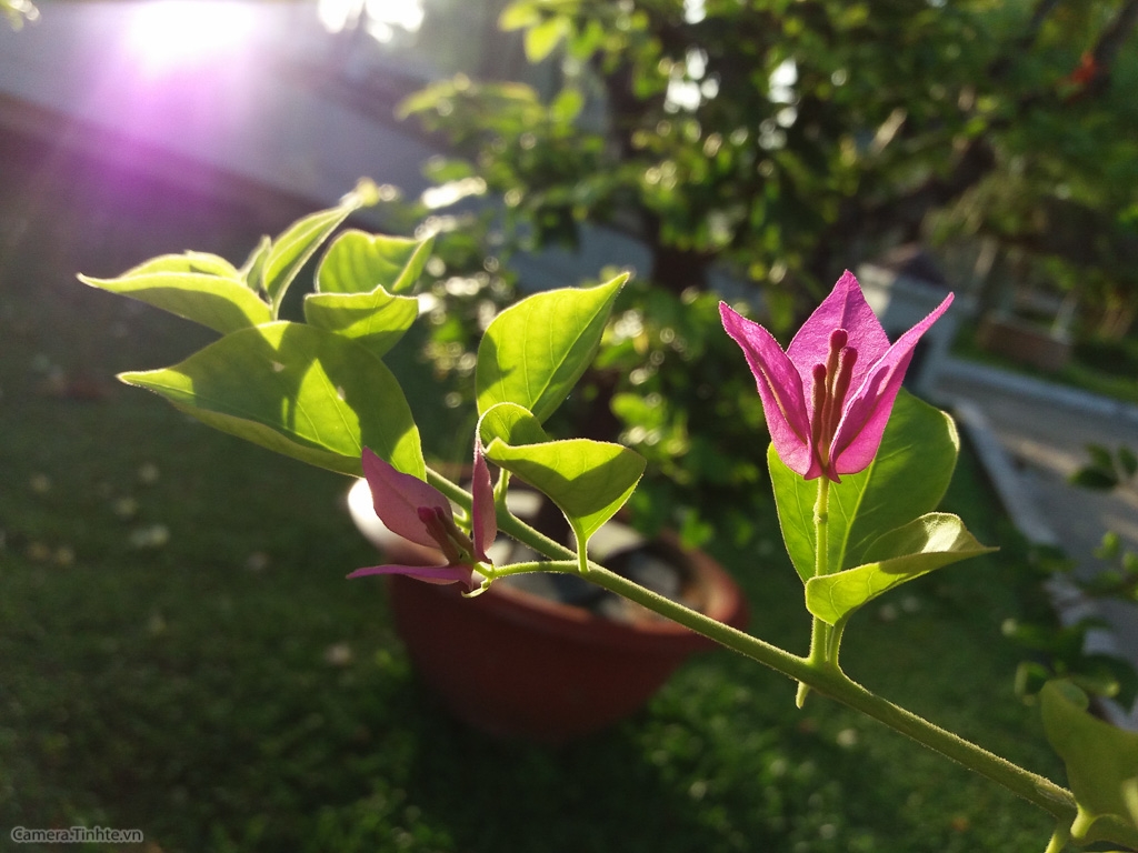 samsung galaxy j5 j7 2016 camera