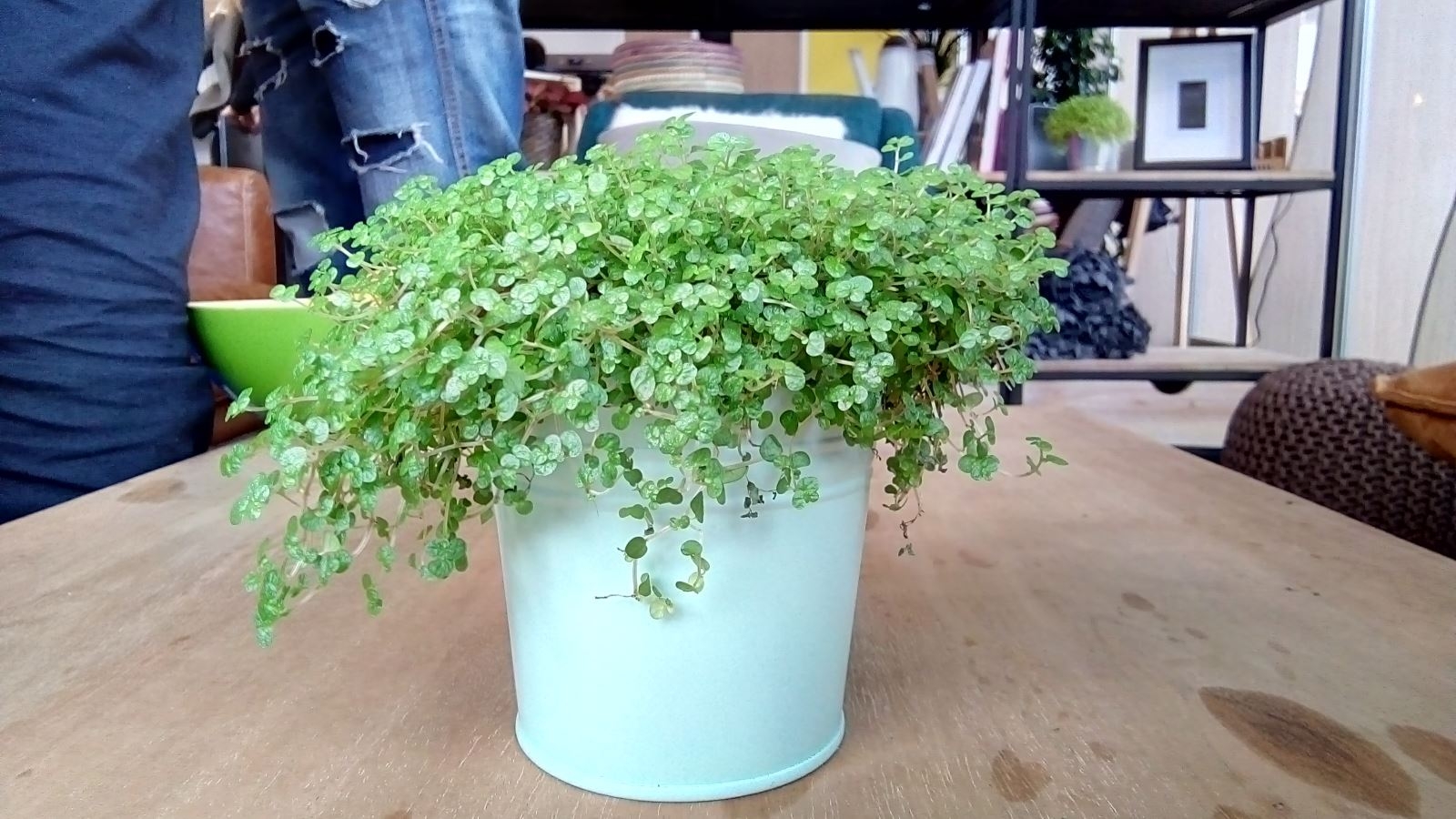 đánh giá nhanh Nokia 3