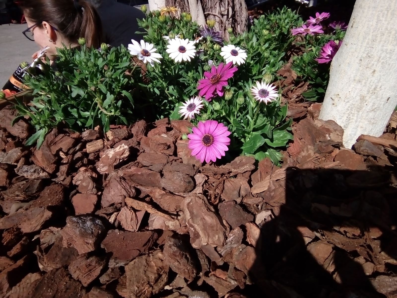 đánh giá nhanh Nokia 3