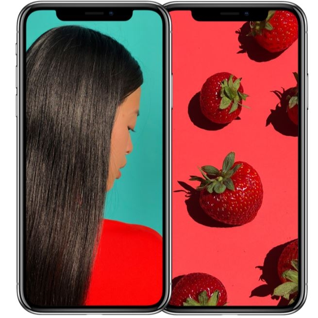 iPhone X