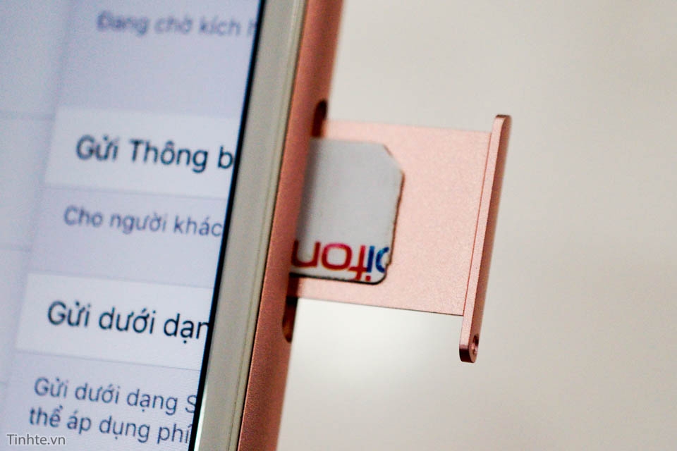 tren tay iPhone 6s và iPhone 6s Plus