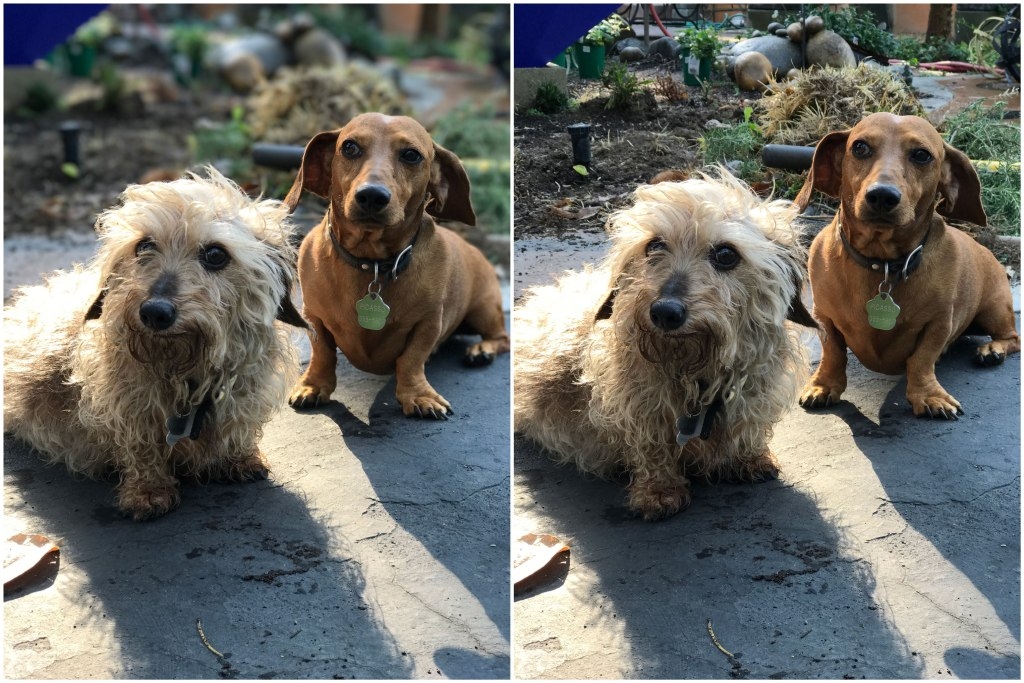 iPhone 7 Plus camera iPhone 7 Plus camera