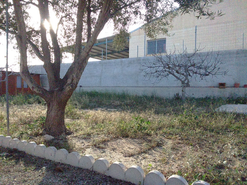 loi camera Sony Xperia M2