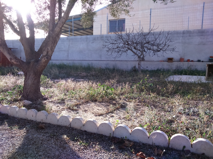 loi camera Sony Xperia M2