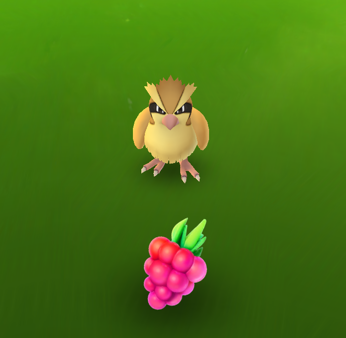 pokemon berry