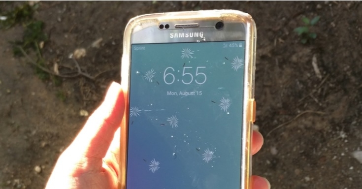 Galaxy S7 rơi xuống hồ, vẫn sống sót sau 2 giờ