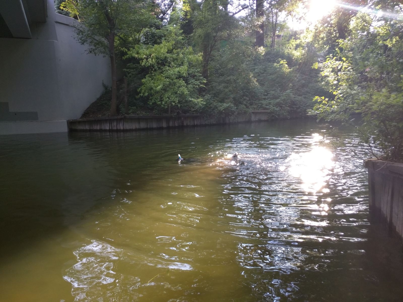 Galaxy S7 rơi xuống hồ, vẫn sống sót sau 2 giờ