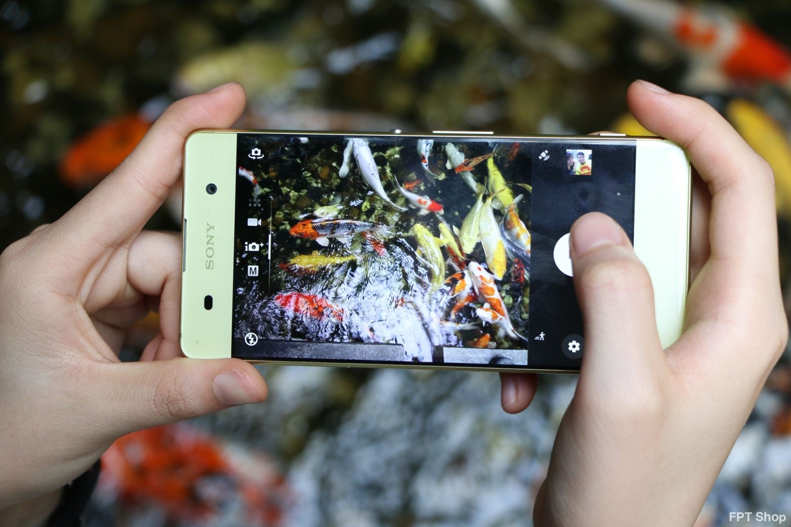 Xperia XA