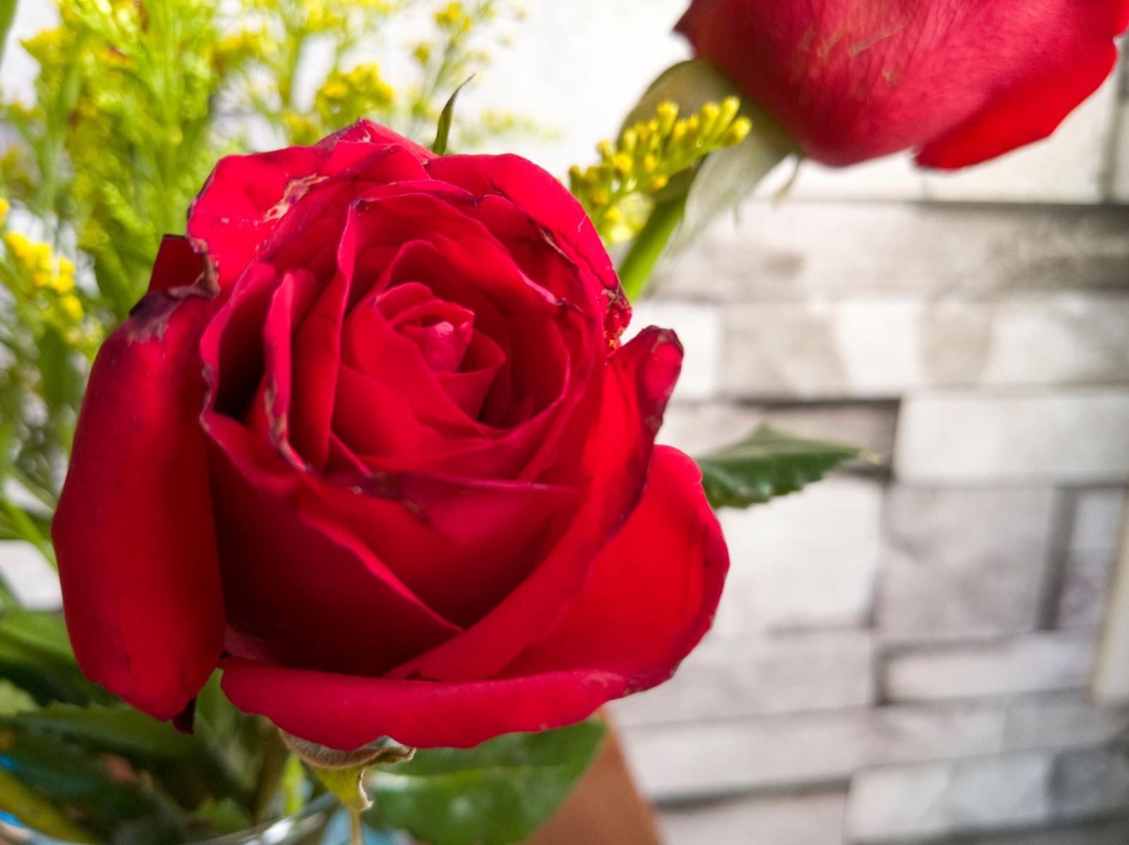 Vòng quanh Sài Gòn trải nghiệm nhanh camera HTC 10 EVO: Cameraphone ấn tượng nhất trong phân khúc 6 triệu đồng Vòng quanh Sài Gòn trải nghiệm nhanh camera HTC 10 EVO: Cameraphone ấn tượng nhất trong phân khúc 6 triệu đồng