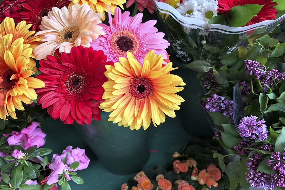 Đọ camera Galaxy S8 và iPhone 7 Plus
