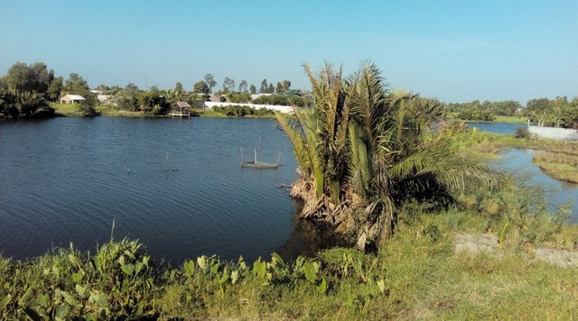 Đánh giá nhanh Mobiistar Prime X Plus, smartphone giá rẻ