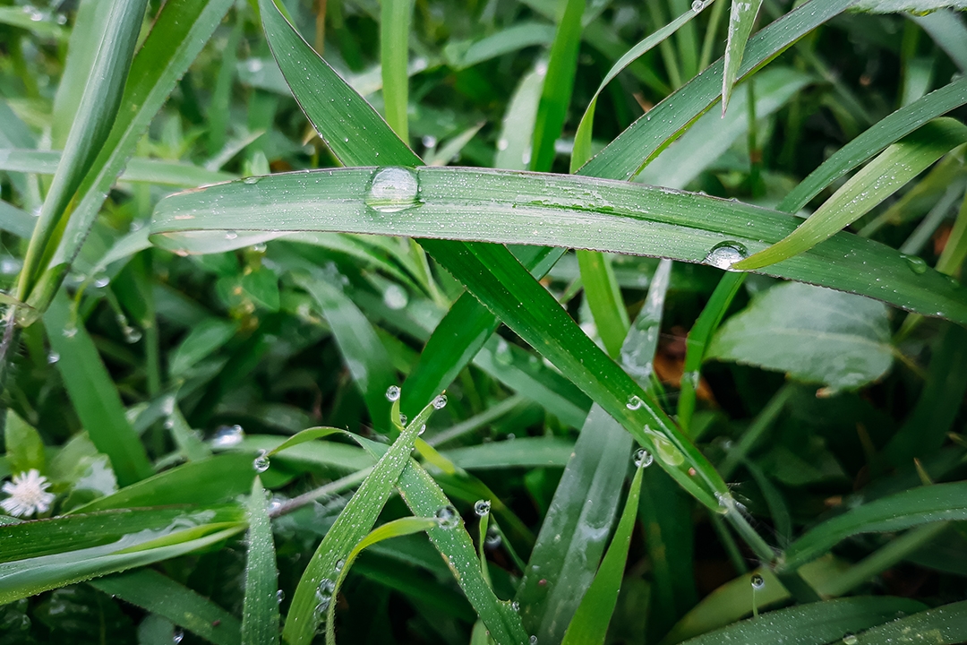 Trải nghiệm Pù Luông với camera J7 Pro Trải nghiệm Pù Luông với camera J7 Pro