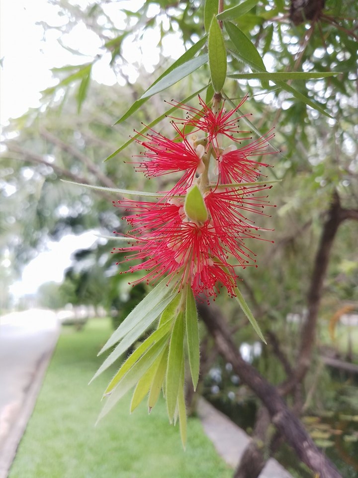 Đánh giá nhanh Galaxy J7 Plus: Camera kép xóa phông, thiết kế cao cấp, hiệu năng tốt