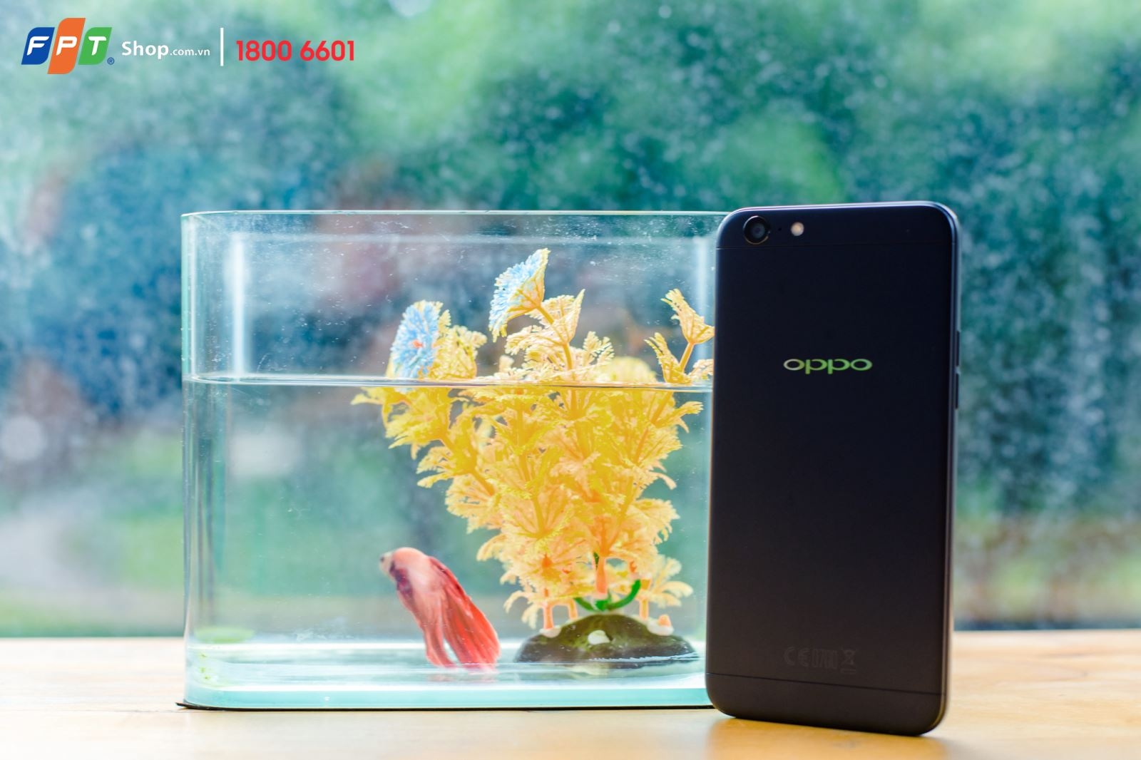 OPPO F3 Lite OPPO F3 Lite và A71 giảm mạnh 500.000 đồng tại FPT Shop