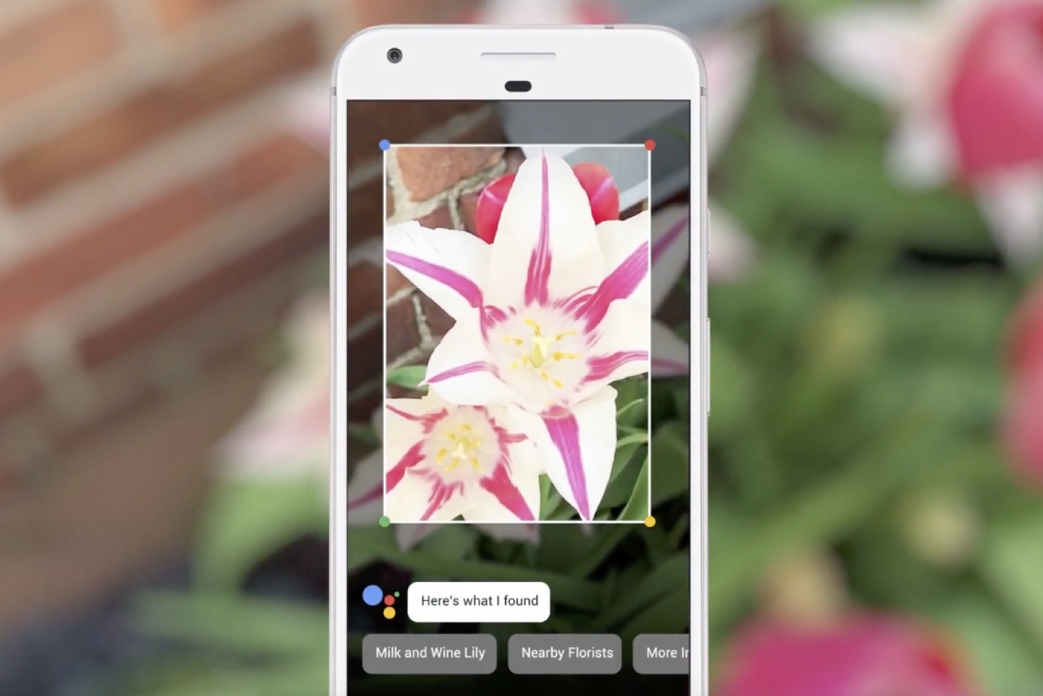 AI Camera là gì để giúp Bphone 2017 thu hút hơn? (ảnh 4)