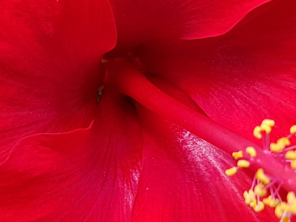 Đủ sáng (Ảnh 71) Đủ sáng (Ảnh 71)