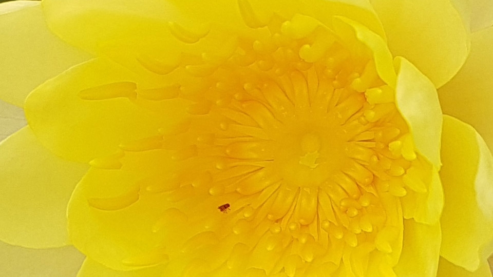 Đủ sáng (Ảnh 61) Đủ sáng (Ảnh 61)