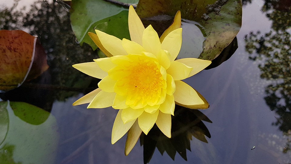 Đủ sáng (Ảnh 6) Đủ sáng (Ảnh 6)