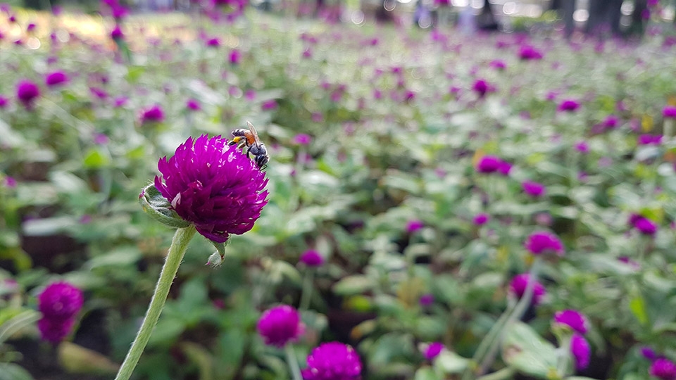 Đủ sáng (Ảnh 8) Đủ sáng (Ảnh 8)