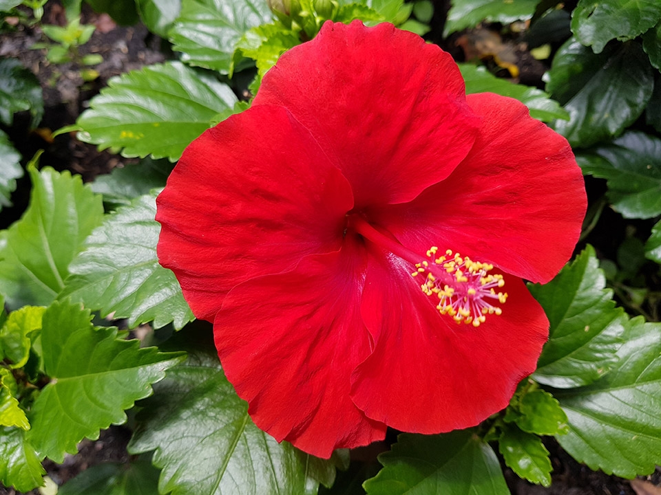 Đủ sáng (Ảnh 7) Đủ sáng (Ảnh 7)