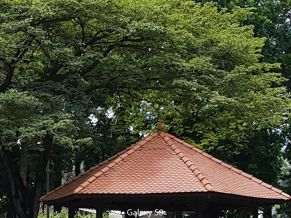Crop S8 (Anh 3) Crop S8 (Anh 3)