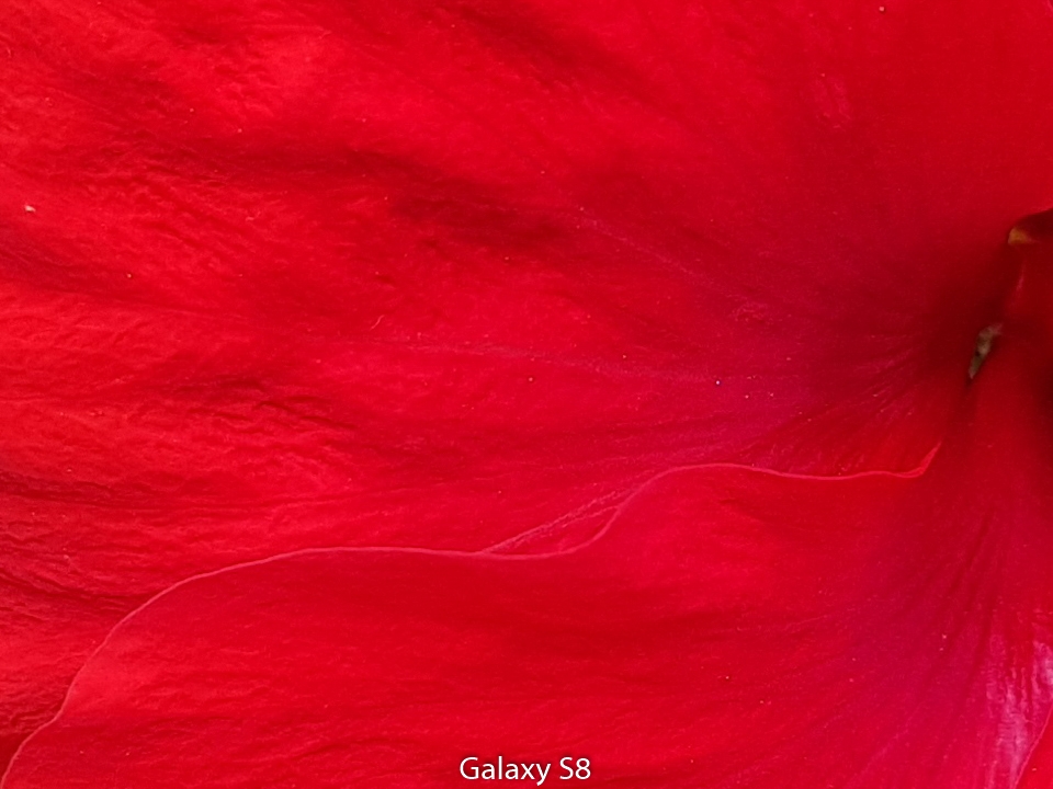 Crop S8 (Ảnh 4) Crop S8 (Ảnh 4)