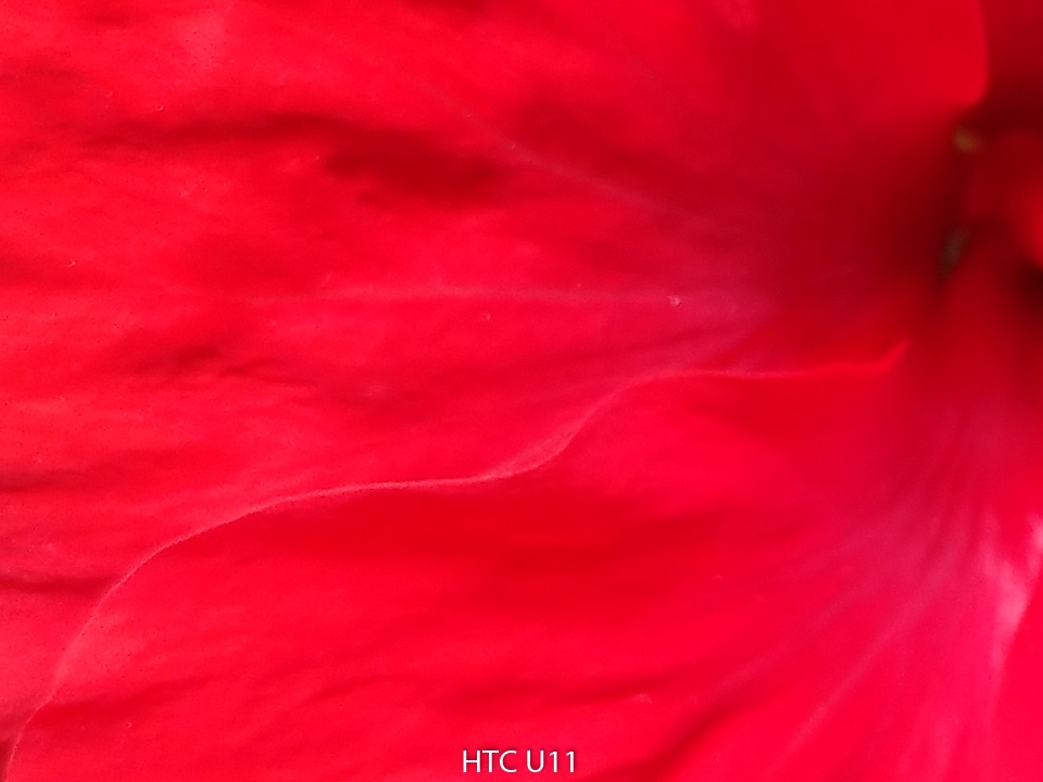 Crop U11 (Ảnh 4) Crop U11 (Ảnh 4)