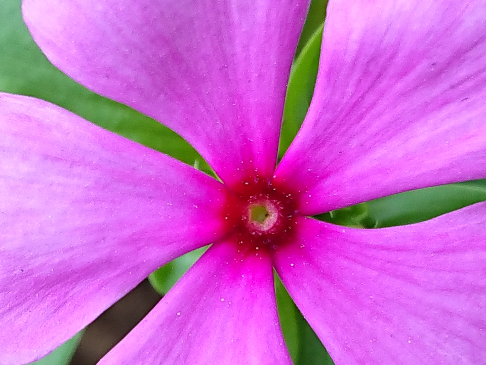 Crop 100% (Ảnh 11) Crop 100% (Ảnh 11)