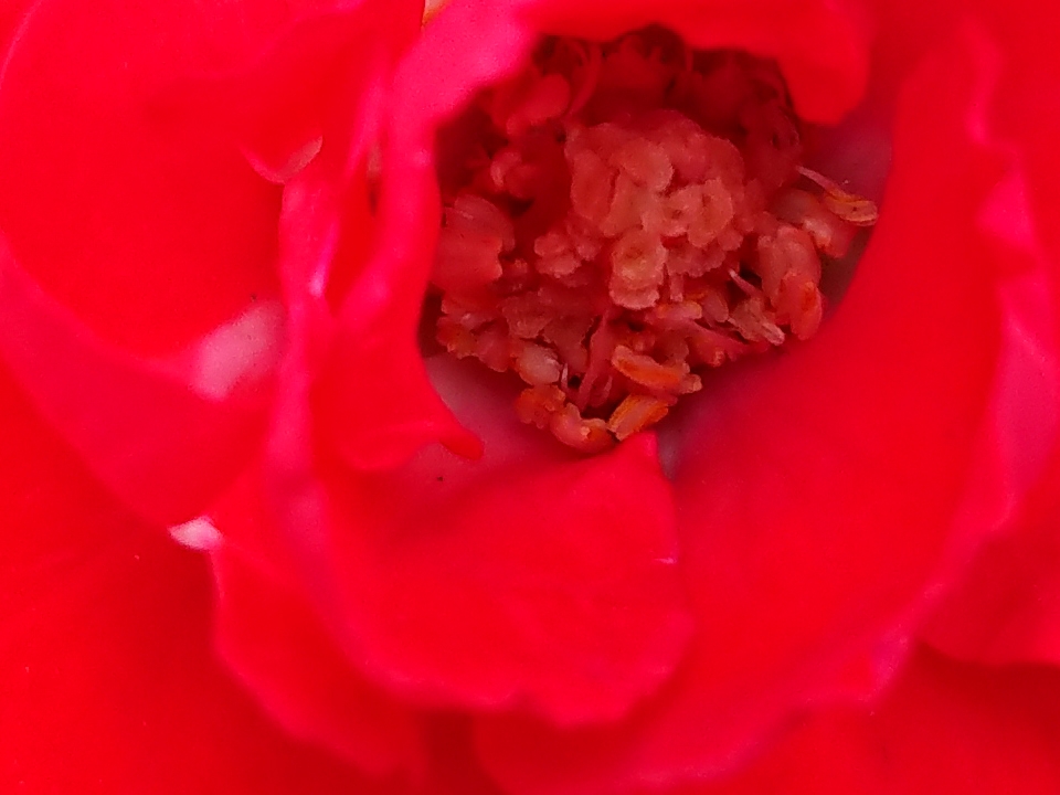 Crop 100% (Ảnh 7) Crop 100% (Ảnh 7)