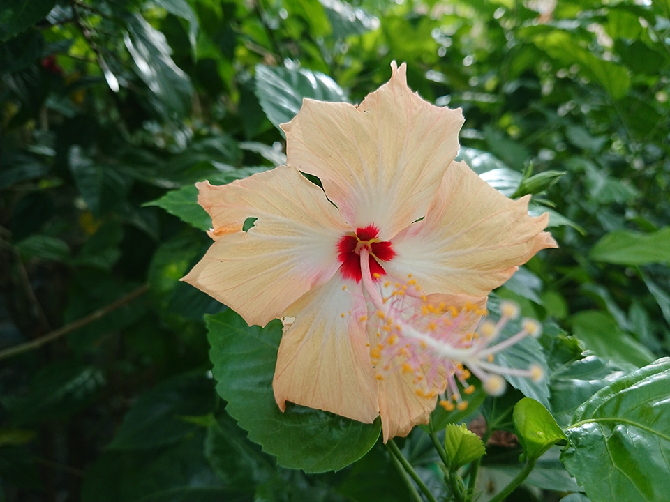 Đủ sáng (Ảnh 6)