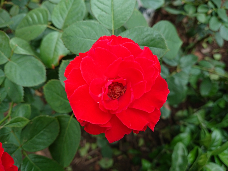 Đủ sáng (Ảnh 7)