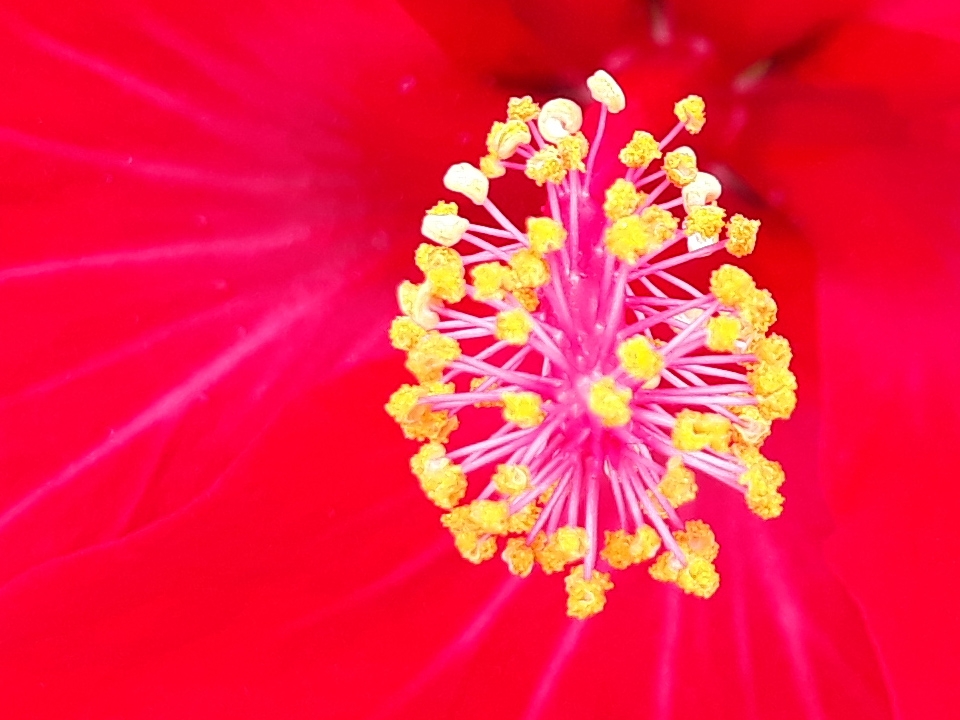 Crop đủ sáng (ảnh 9)