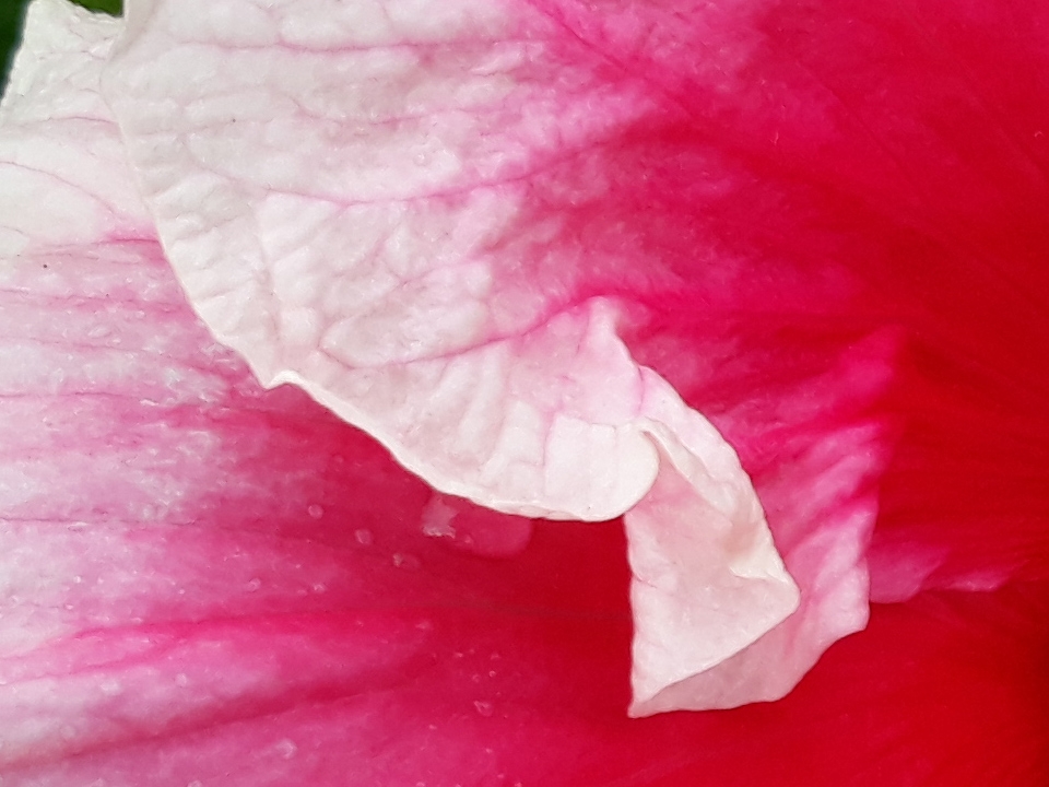 Crop đủ sáng (ảnh 10)