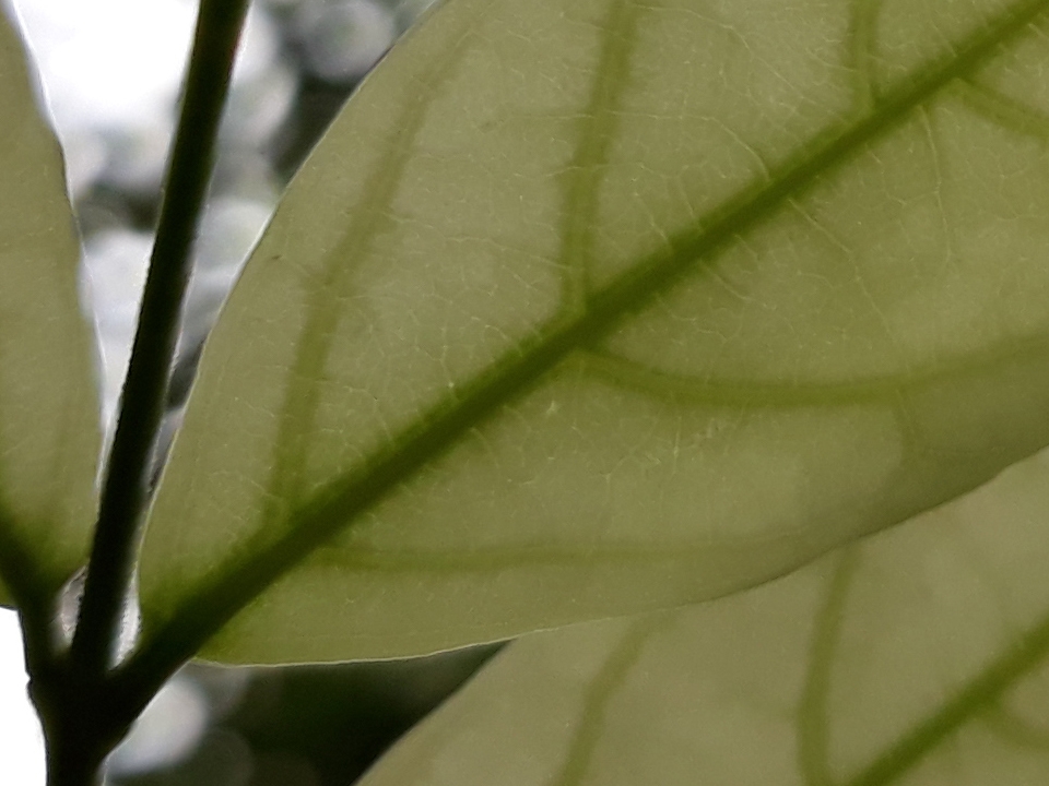 Crop đủ sáng (ảnh 11)