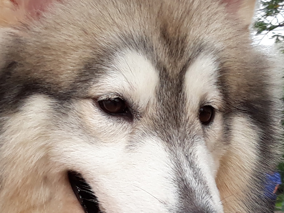 Crop đủ sáng (ảnh 8)