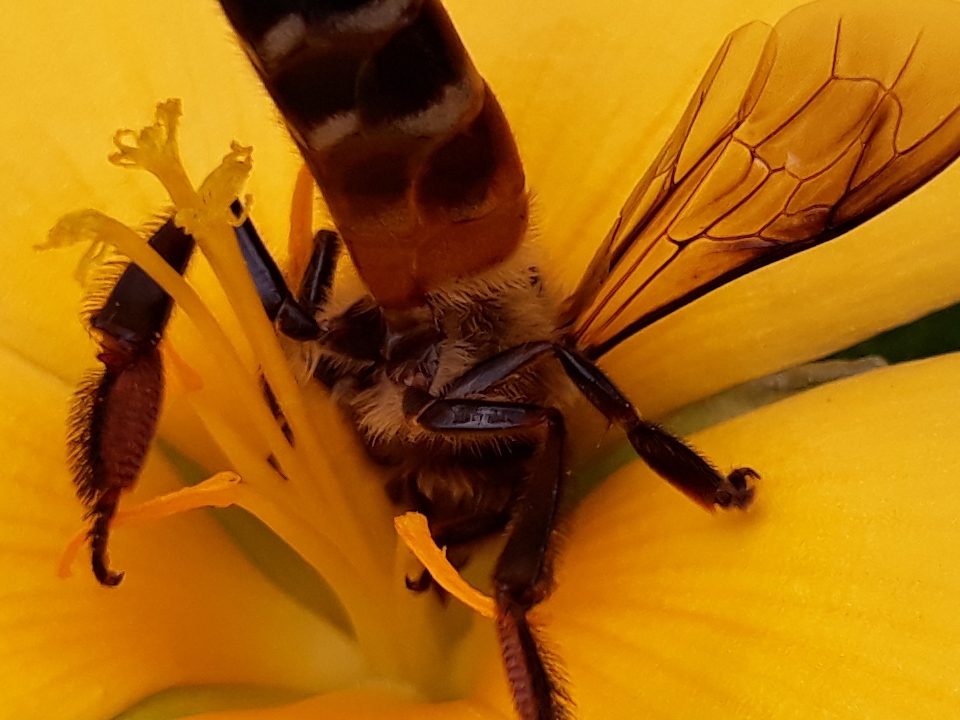 Crop đủ sáng (ảnh 9)