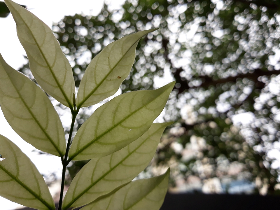 Đủ sáng (ảnh 11)