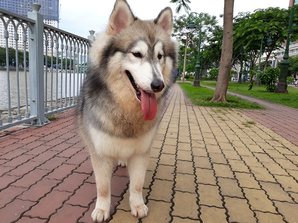 Đủ sáng (ảnh 8)