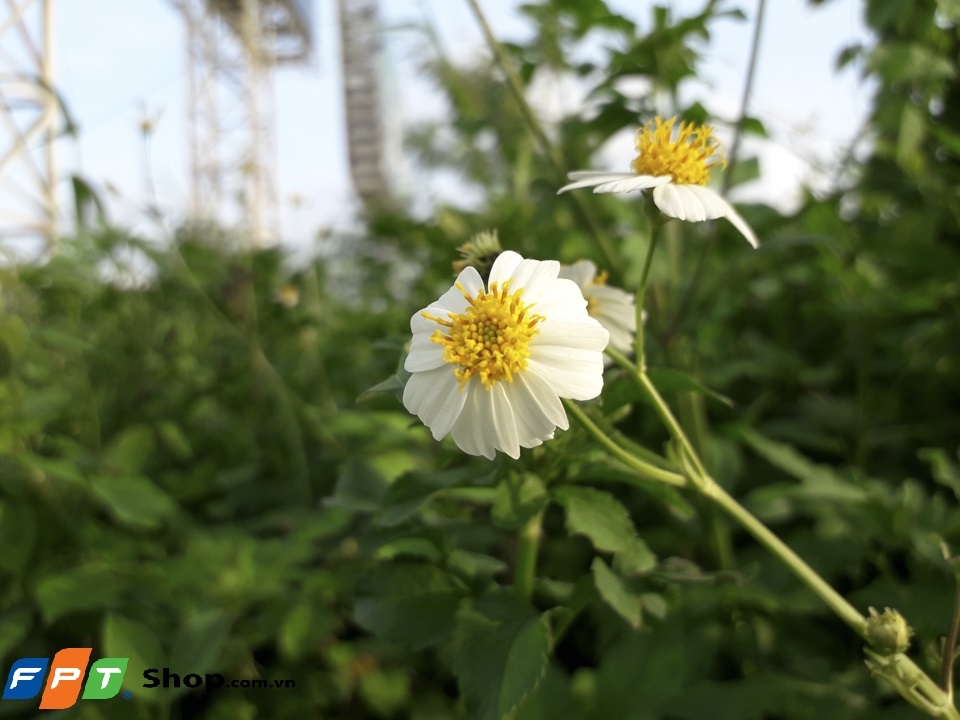 Ảnh cận cảnh galaxy J3 Pro (ảnh 1)