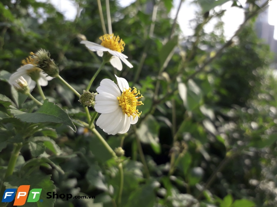 Ảnh cận cảnh galaxy J3 Pro (ảnh 2)