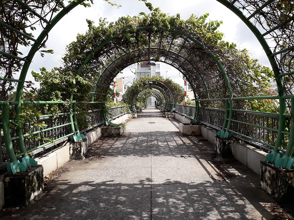 Ảnh đủ sáng Galaxy J3 Pro (ảnh 4)