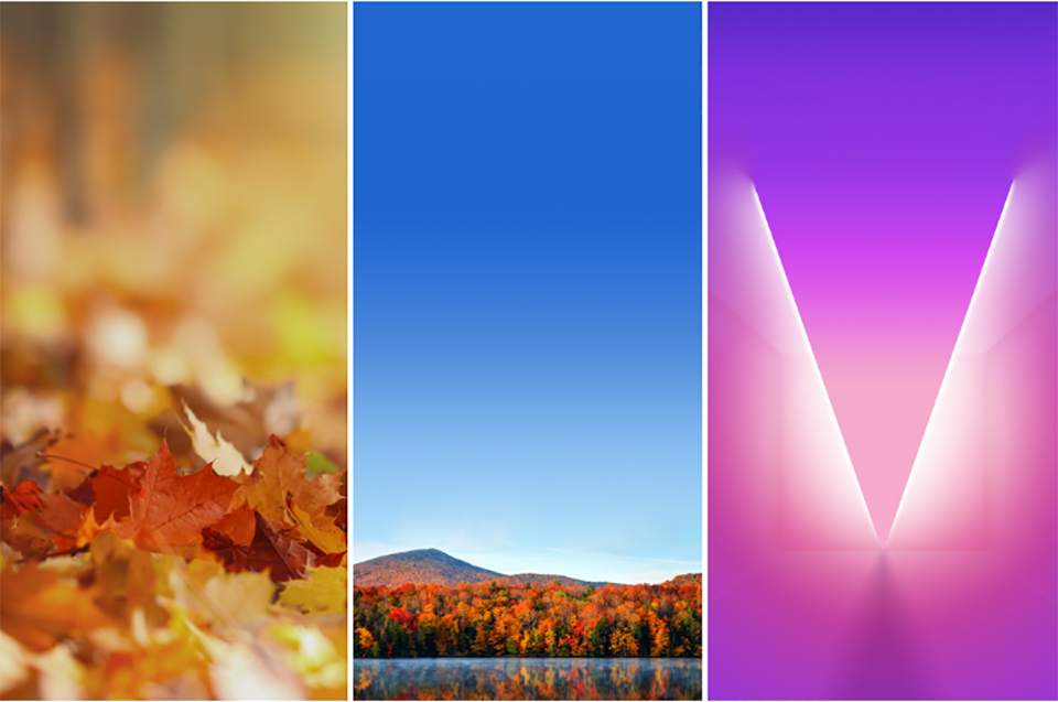 Hình nền LG V30 (ảnh 1) Hình nền LG V30 (ảnh 1)