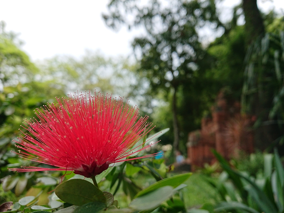 Ảnh chụp từ Camera Xperia XZ1 29