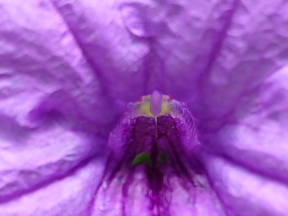 Ảnh chụp từ Camera Xperia XZ1 28