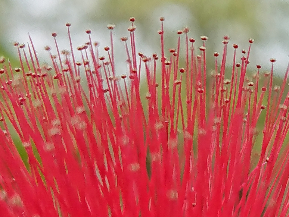 Ảnh chụp từ Camera Xperia XZ1 30